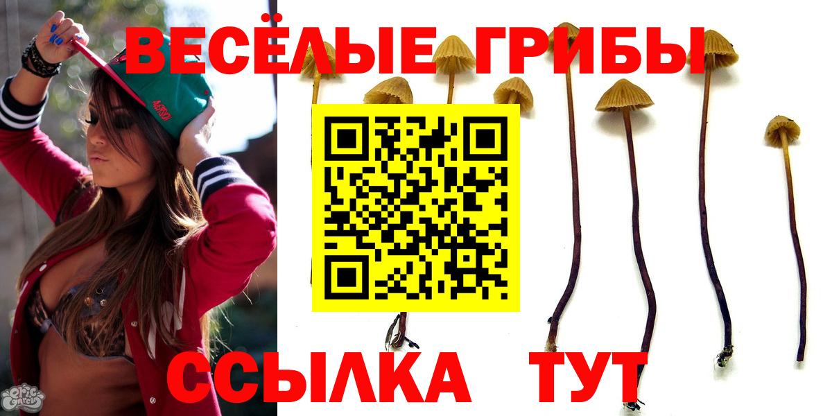 Псилоцибиновые грибы Psilocybine cubensis Янаул